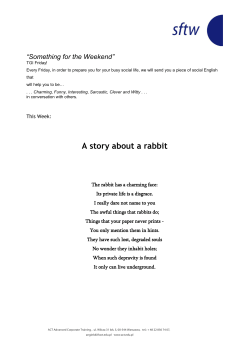 A story about a rabbit