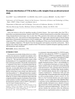 Dynamic distribution of TTK in HeLa cells: insights from an