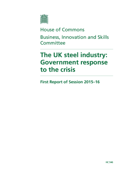 The UK steel industry: Government response to the crisis report