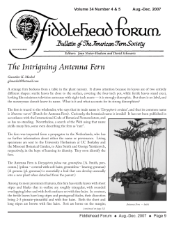 Fiddlehead Forum Vol. 34, Issue 4-5