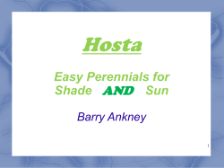 Hosta An Introduction to the Genus Hosta Barry R. Ankney
