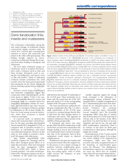 Gene translocation links insects and crustaceans