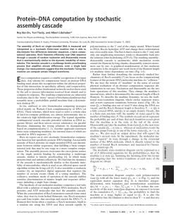 Protein-DNA computation by stochastic assembly cascade