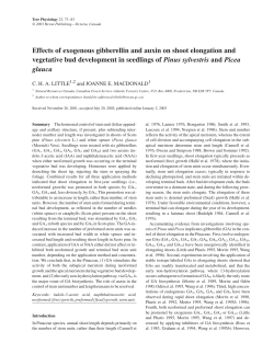 Effects of exogenous gibberellin and auxin on shoot elongation and
