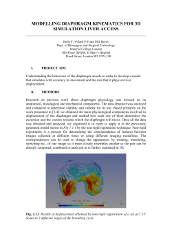 modelling diaphragm kinematics for 3d simulation liver access