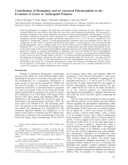 Contribution of Homoplasy and of Ancestral