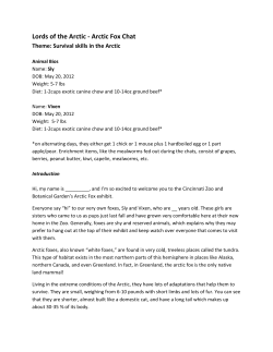 Lords of the Arctic - Arctic Fox Chat