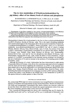 I59 pig kidney: effect of low dietary levels of calcium and phosphorus