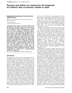 Dynamin and clathrin are required for the biogenesis of a distinct
