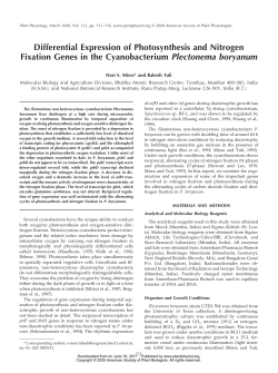 Differential Expression of Photosynthesis and Nitrogen Fixation