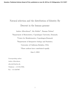 Natural selection and the distribution of Identity By