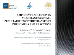 AmpholYte solution in membrane systems: PECULIARITIES of THE
