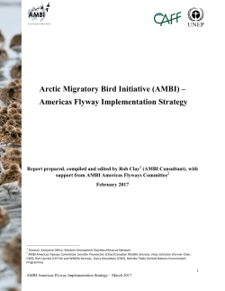 Arctic Migratory Bird Initiative (AMBI) &ndash; Americas Flyway