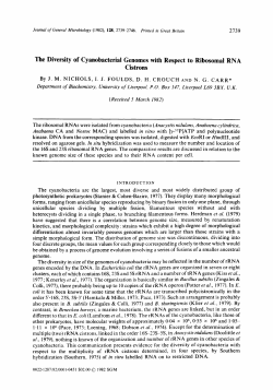 The Diversity of Cyanobacterial Genomes with