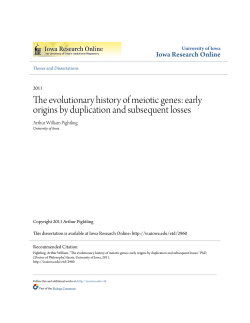 The evolutionary history of meiotic genes