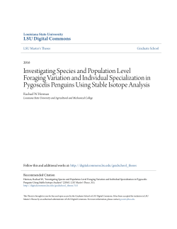 Investigating Species and Population Level Foraging Variation and