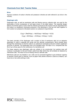 Chemicals from Salt: Teacher Notes