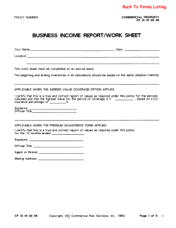 business income reportiwork sheet