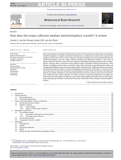 How does the corpus callosum mediate