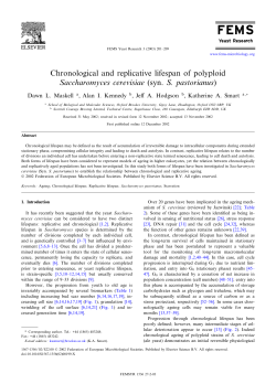 Chronological and replicative lifespan of polyploid Saccharomyces