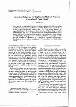 Incubation Biology and Nestling Growth of Bulwer`s