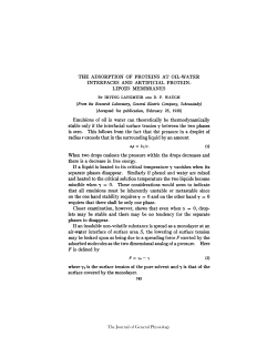 THE ADSORPTION OF PROTEINS AT OIL-WATER