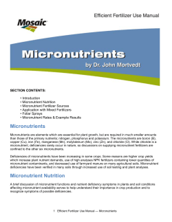 Micronutrients Micronutrient Nutrition