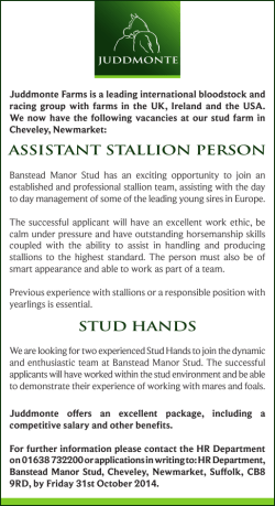 Assistant Stallion Person STUD HANDS