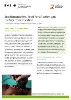 Supplementation, Food Fortification and Dietary Diversification