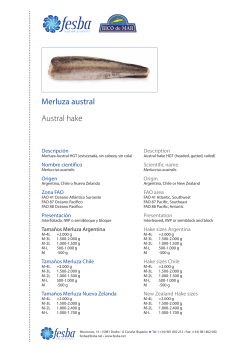 Merluza Austral