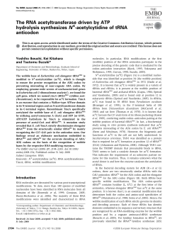 Get PDF - Wiley Online Library