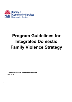 Program Guidelines for Integrated Domestic Family Violence Strategy