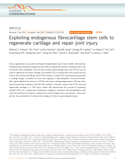 Exploiting endogenous fibrocartilage stem cells - URMC