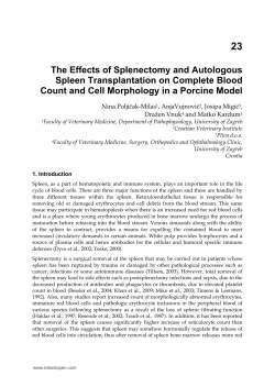 as PDF