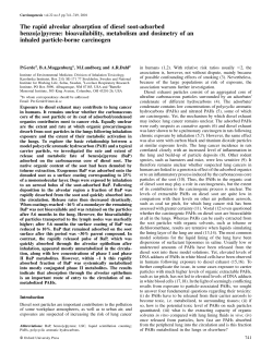 The rapid alveolar absorption of diesel soot
