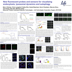 New fluorescent probes and sensors for visualizing endocytosis