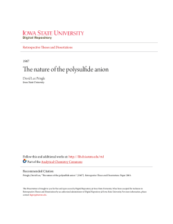 The nature of the polysulfide anion