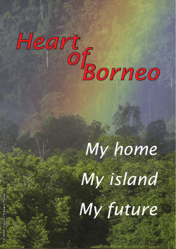 Heart of Borneo - Brunei