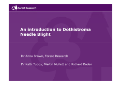 An introduction to Dothistroma Needle Blight