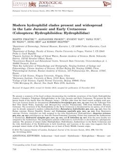 Modern hydrophilid clades present and