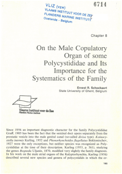 On the Male Copulatory Systematics of the Family