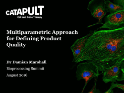 Multiparametric Approach for Defining Product Quality
