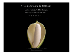 The Geometry of Botany