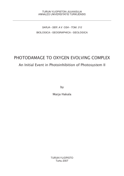 photodamage to oxygen evolving complex