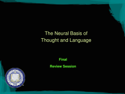 The Neural Basis of Thought and Language - EECS: www
