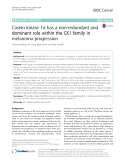 Casein kinase 1&alpha; has a non-redundant and dominant role within the