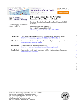 Immature Bone Marrow B Cells B in &kappa; Cell-Autonomous Role for NF-