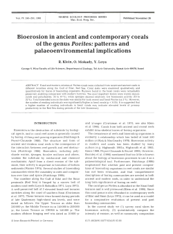 Bioerosion in ancient and contemporary corals of