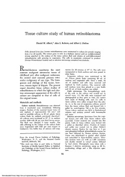Tissue Culture Study of Human Retinoblastoma