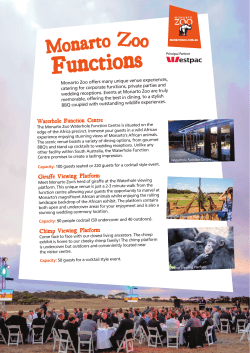 Delight your guests with a unique and interactive